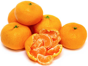 Satsuma Tangerine