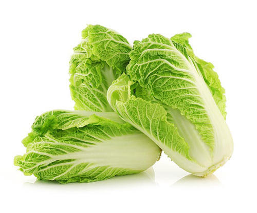 napa cabbage,2LBS