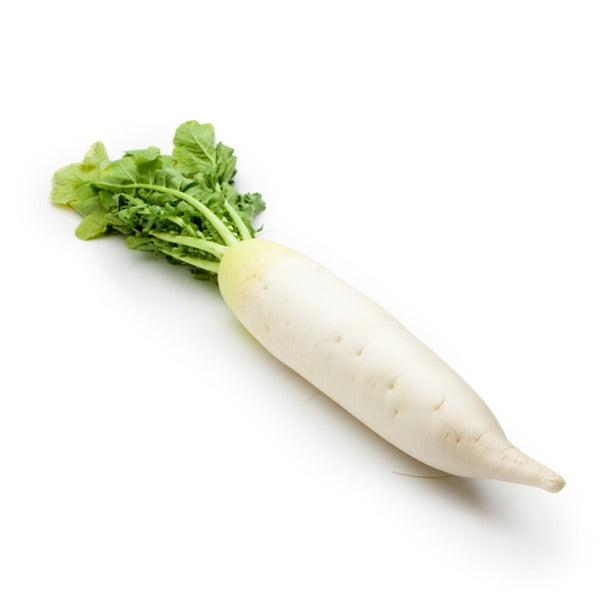 Lo bok,2LBS