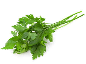 Italin Parsley,5 for $0.99